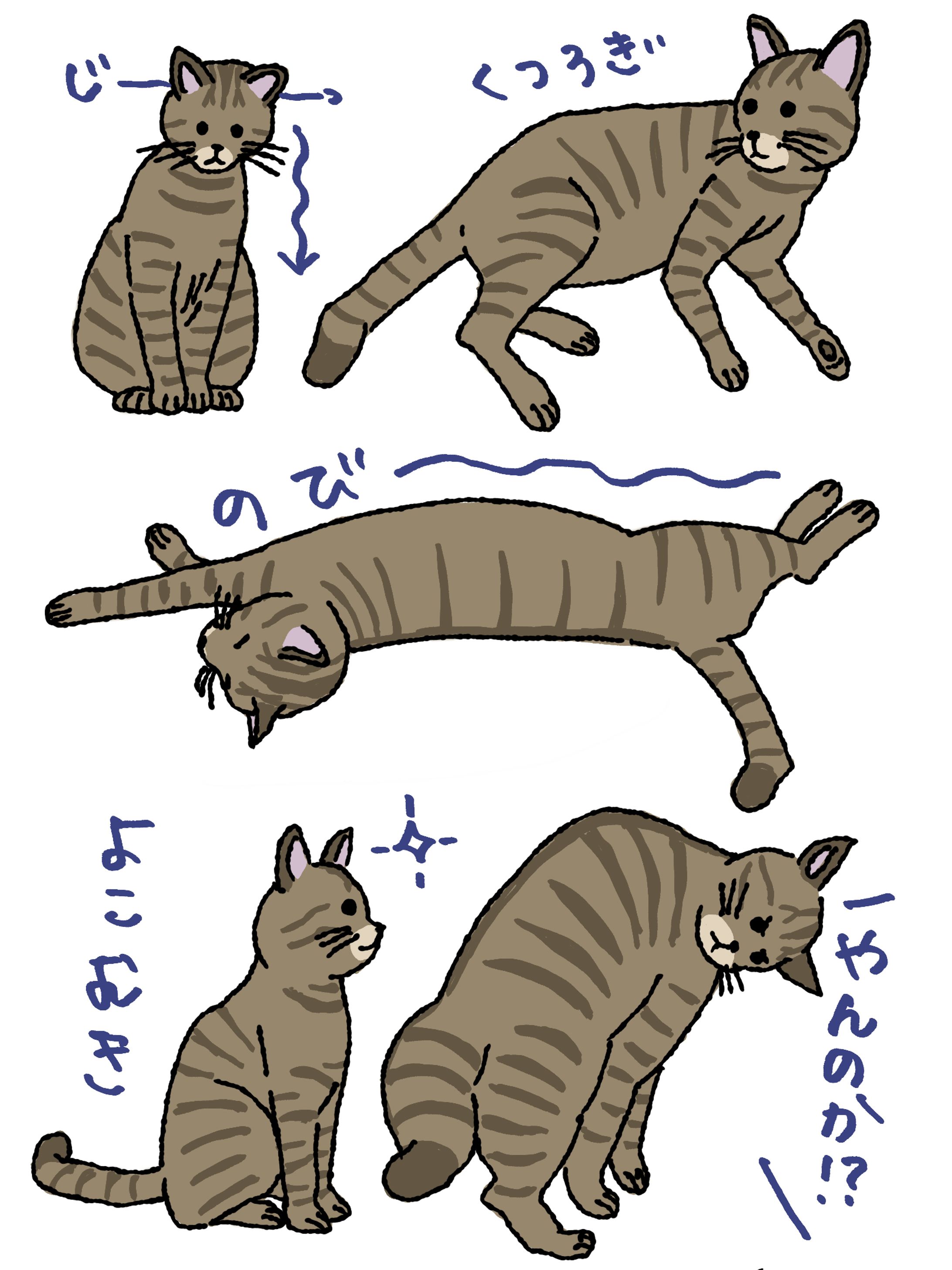 猫ラクガキ-1