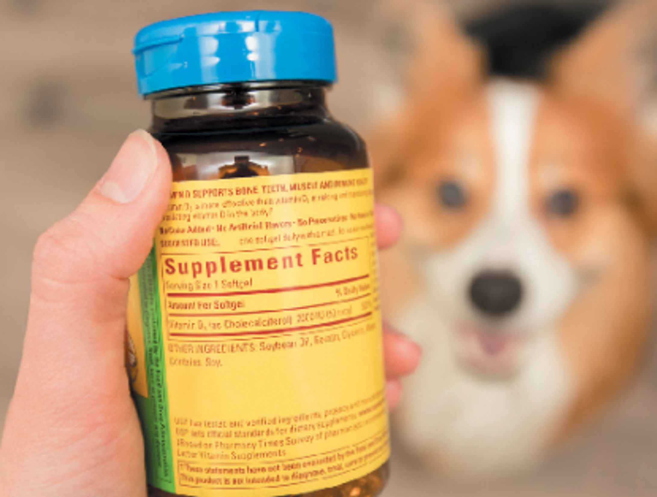 グローバル犬用の健康製品市場の成長分析：市場規模、浸透率、需要変動2026-1