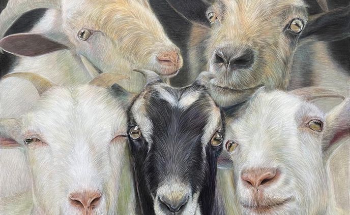 山羊さんファミリー描かさせて頂きました！
（@kurochan_farm）さんです🐐

F20: 606mm×727mm
画用紙
色鉛筆

#ヤギ #山羊 #goat
#animalillustration  #動物画 #色鉛筆 #colorpencil #colorpencilartist #animalartist #animaldrawing #realist #illustration #illustrator  #draw #drawing  #artwork  #works