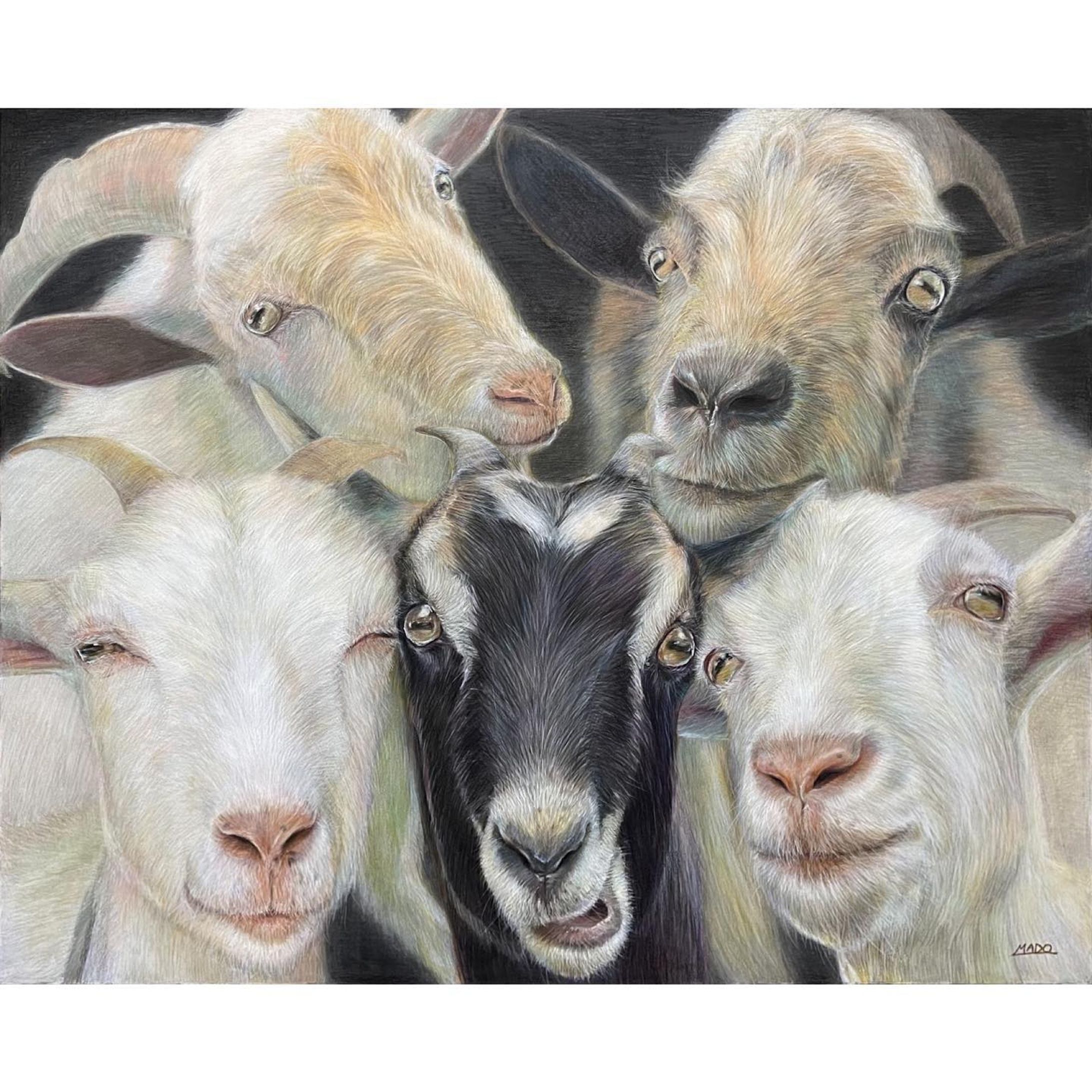 山羊さんファミリー描かさせて頂きました！
（@kurochan_farm）さんです🐐

F20: 606mm×727mm
画用紙
色鉛筆

#ヤギ #山羊 #goat
#animalillustration  #動物画 #色鉛筆 #colorpencil #colorpencilartist #animalartist #animaldrawing #realist #illustration #illustrator  #draw #drawing  #artwork  #works-1