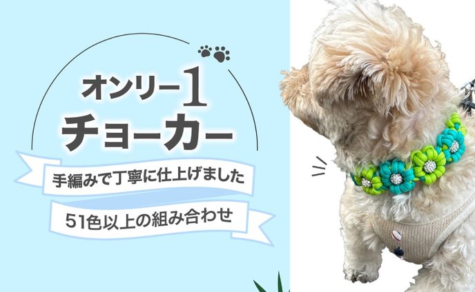 （実案件）犬用首輪