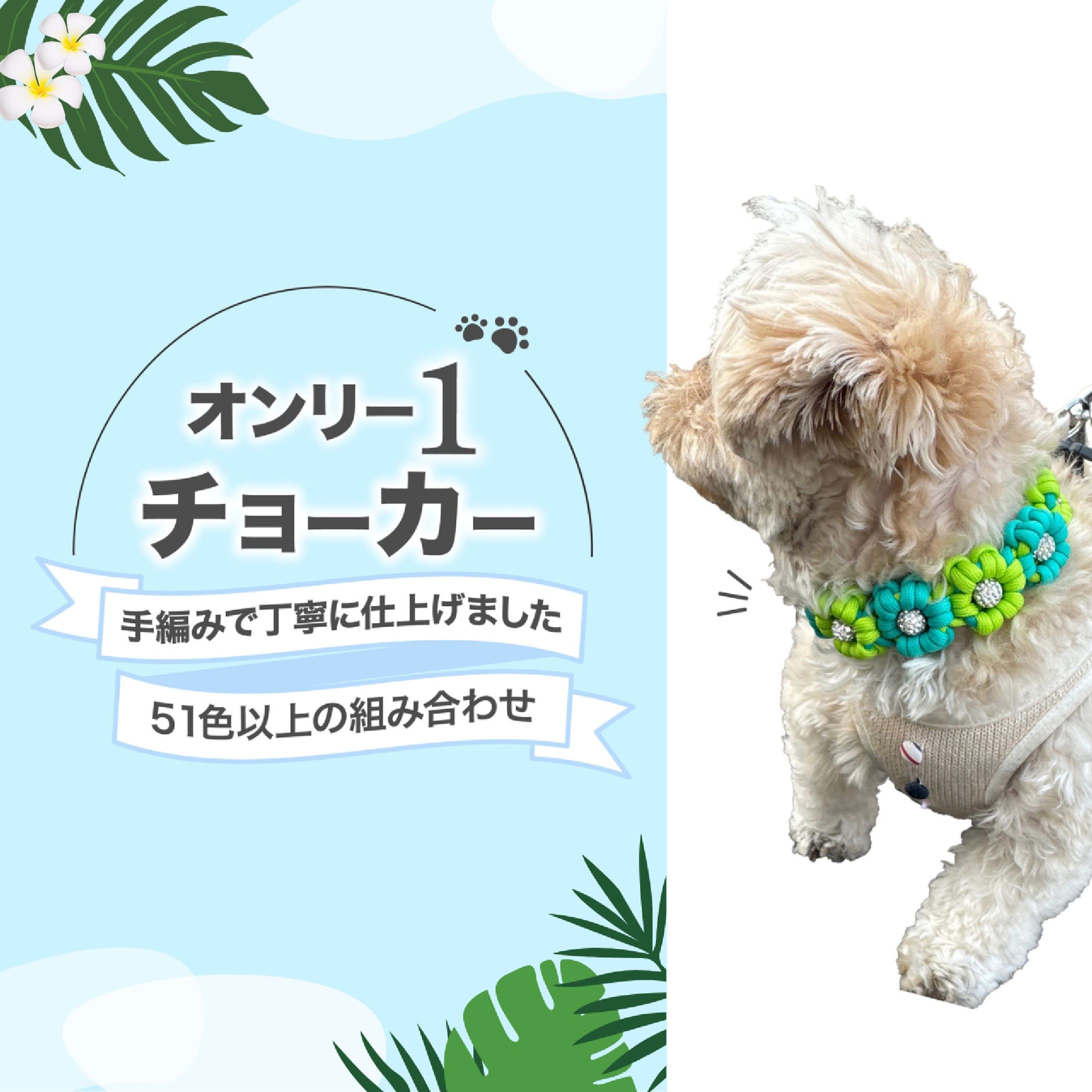 （実案件）犬用首輪-1