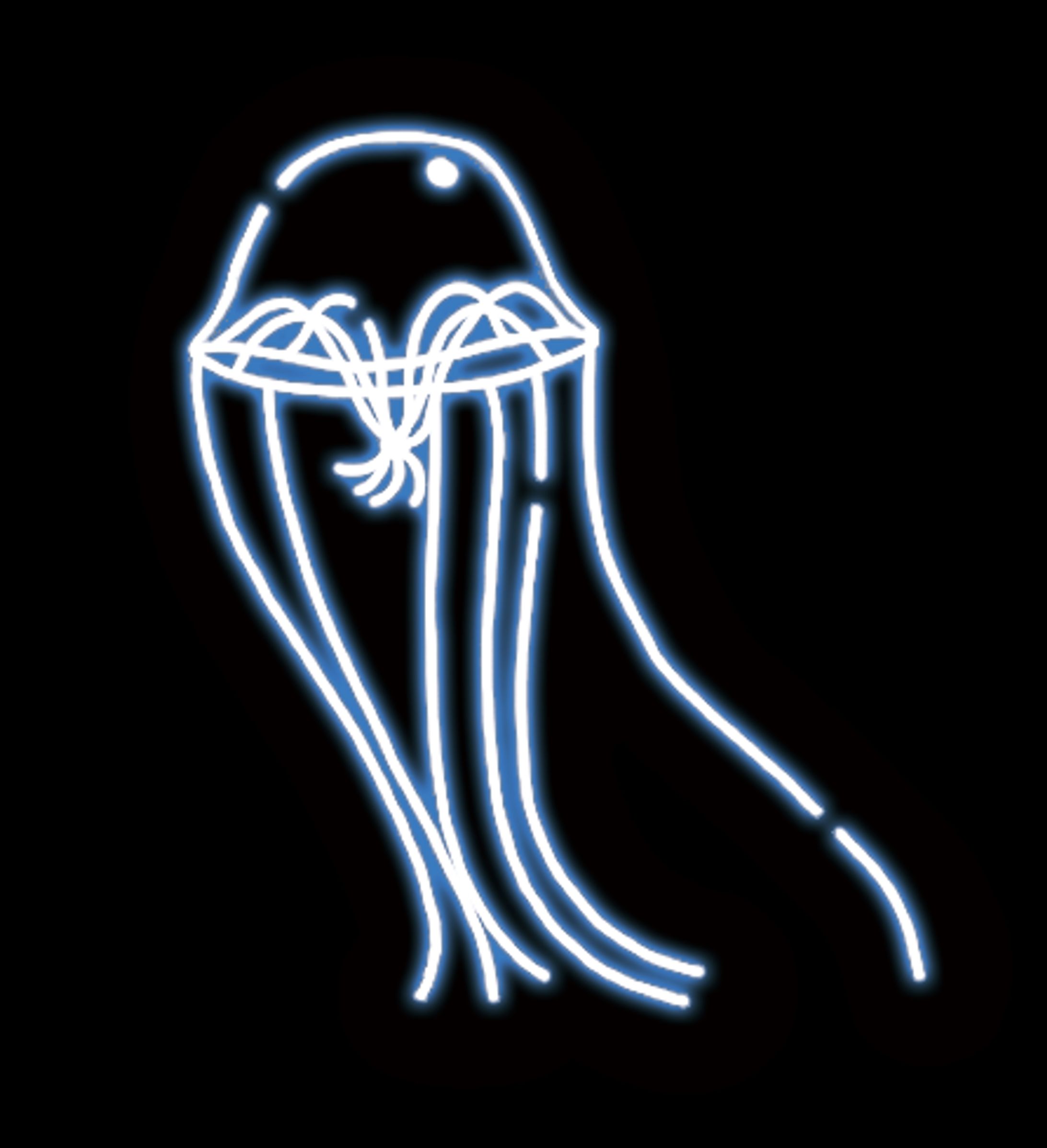 ネオンクラゲ-1