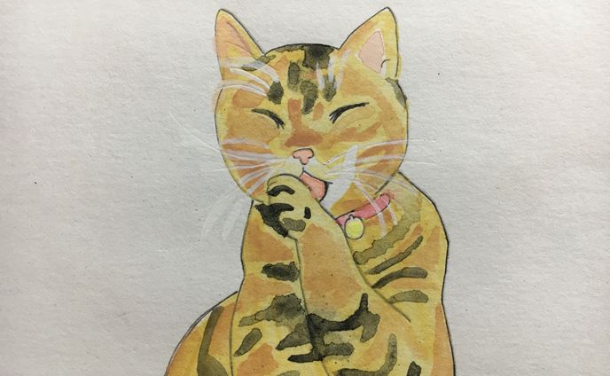 水彩イラスト「猫」