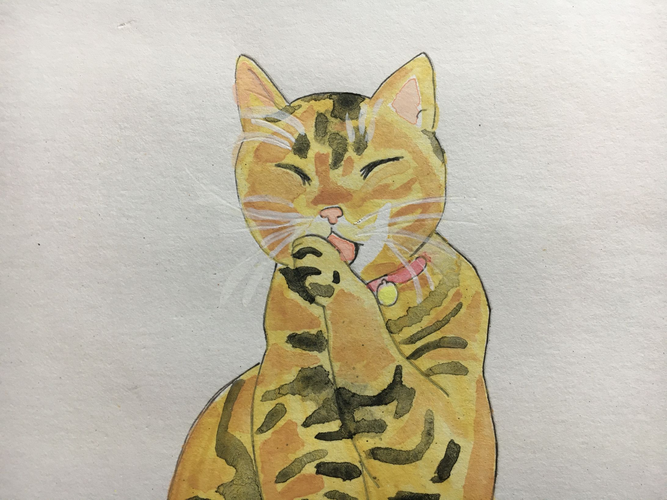 水彩イラスト「猫」-1