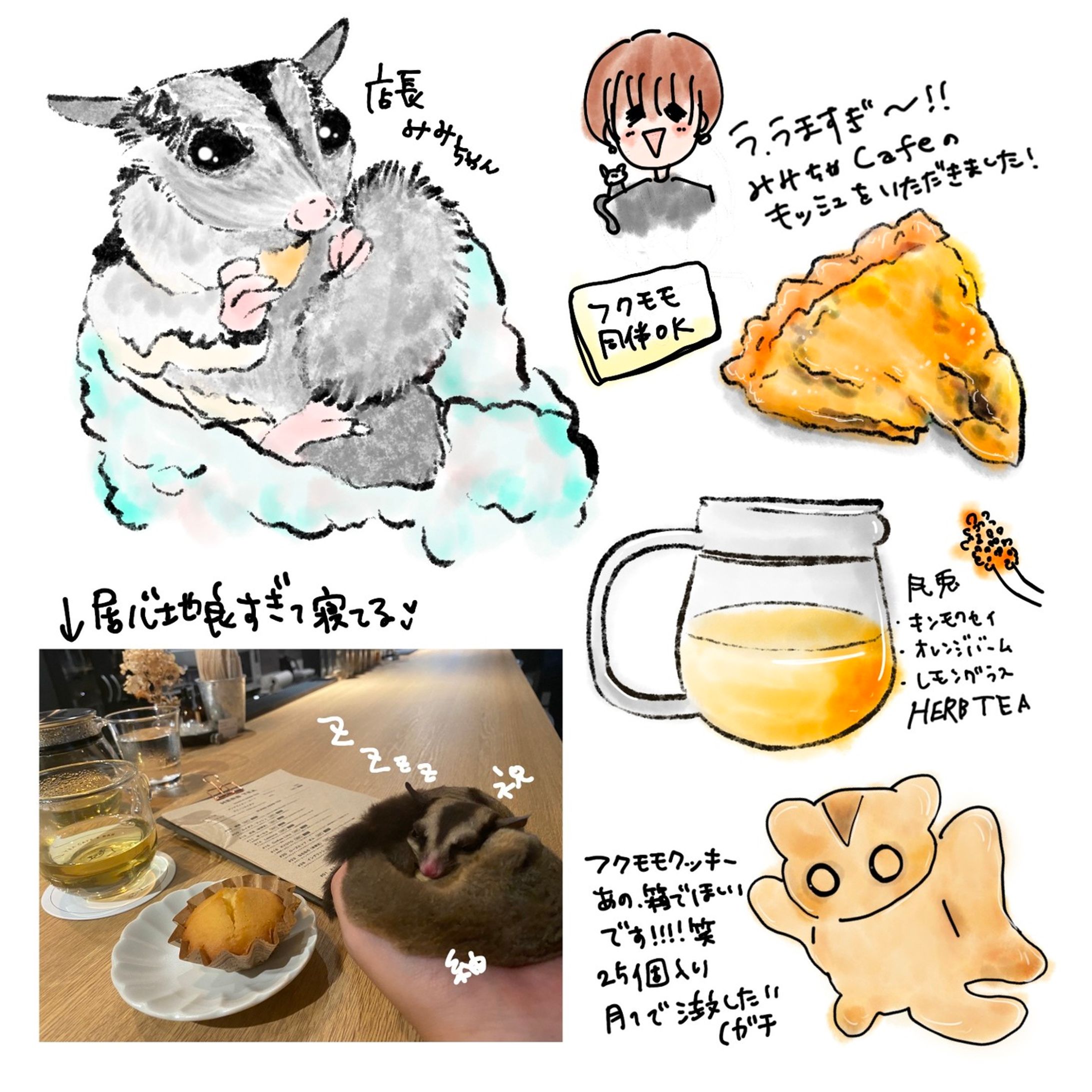 📍京都 / 四条大宮
@33cha_cafe 

今回のイラストは
フクロモモンガのみみちゃんが
店長のカフェです☺️🌟

どうしても
フクモモちゃんのお友達が欲しい！
できない！とずっと悩んでて
やっと見つけたのがこちらのお店です😆

もちろんフクモモ同伴OK！
心地よいのか我が家の二匹は初めての場所なのに爆睡してて笑った😂
マイペース全開すぎて、誰に似たんだか（私か）

フクモモトークに花を咲かせ、
あっという間で濃厚な時間を過ごさせてもらってます✨

もちろんお料理も充実していて
まだまだ制覇できてないのですが
興味そそられるお料理がたくさん！

あとハーブティが本当に美味しい！
リラックス感があってとても落ち着く時間を過ごしました💗

⚠️画像のHerb teaの表記こちらです！

↓訂正↓
　
月兎
・キンモクセイ
・オレンジフラワー
・レモンバーム

ちょっと珍しいカフェに
京都へ足を運んだら寄ってみてください😆

私は京都に住みたい欲がかなり上がってずっと物件探してます🤣笑

#京都 #京都カフェ #四条カフェ #ハーブティー #フクロモモンガ #京都観光 #京都グルメ #京都カフェ巡り #モモンガ好きと繋がりたい #イラスト #お絵かき #食べ物日記 #kyoto #kyotocafe #herbtea #cafe #illustration 
#daily-1