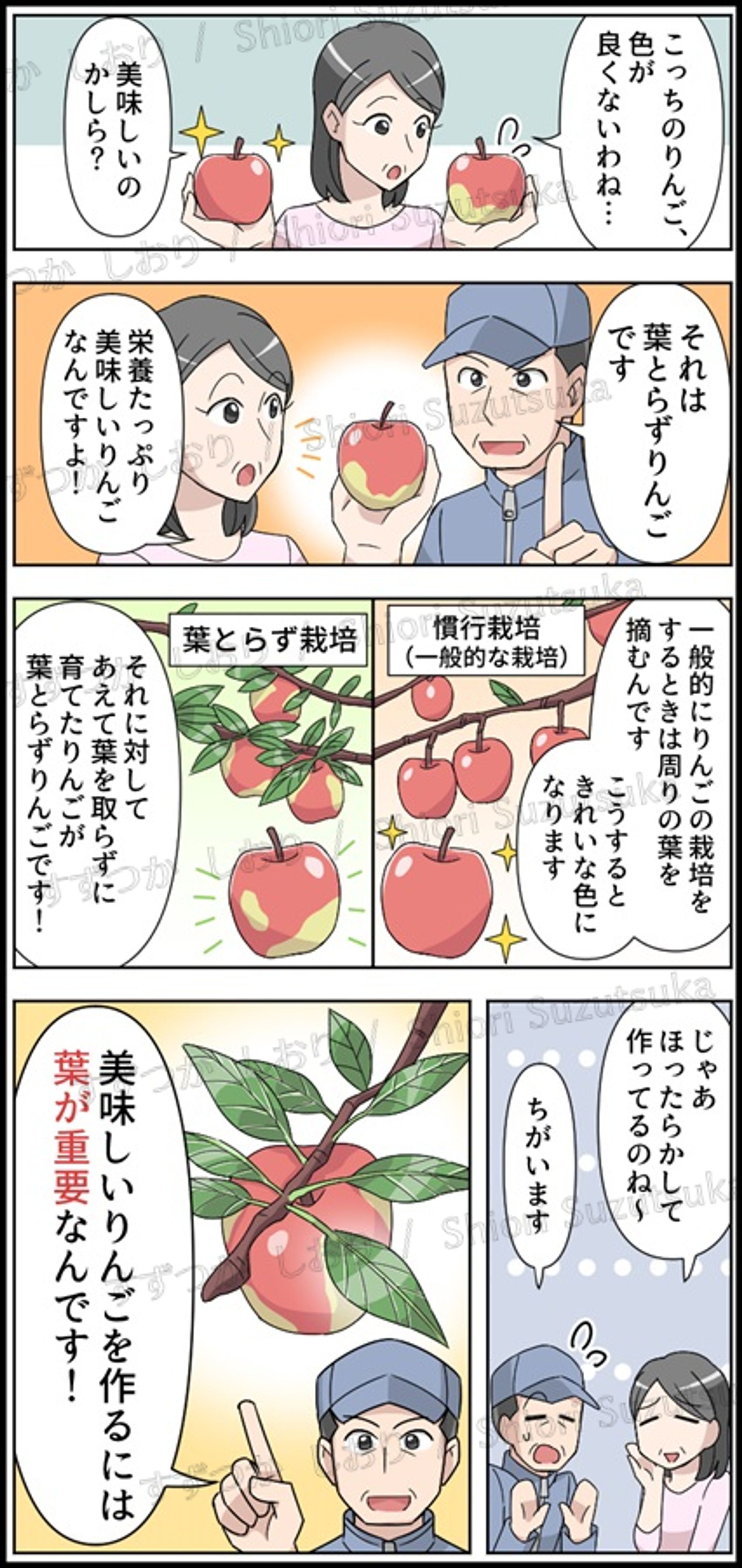 有限会社エムエスケイ様 商品ページ用カラーマンガ-1