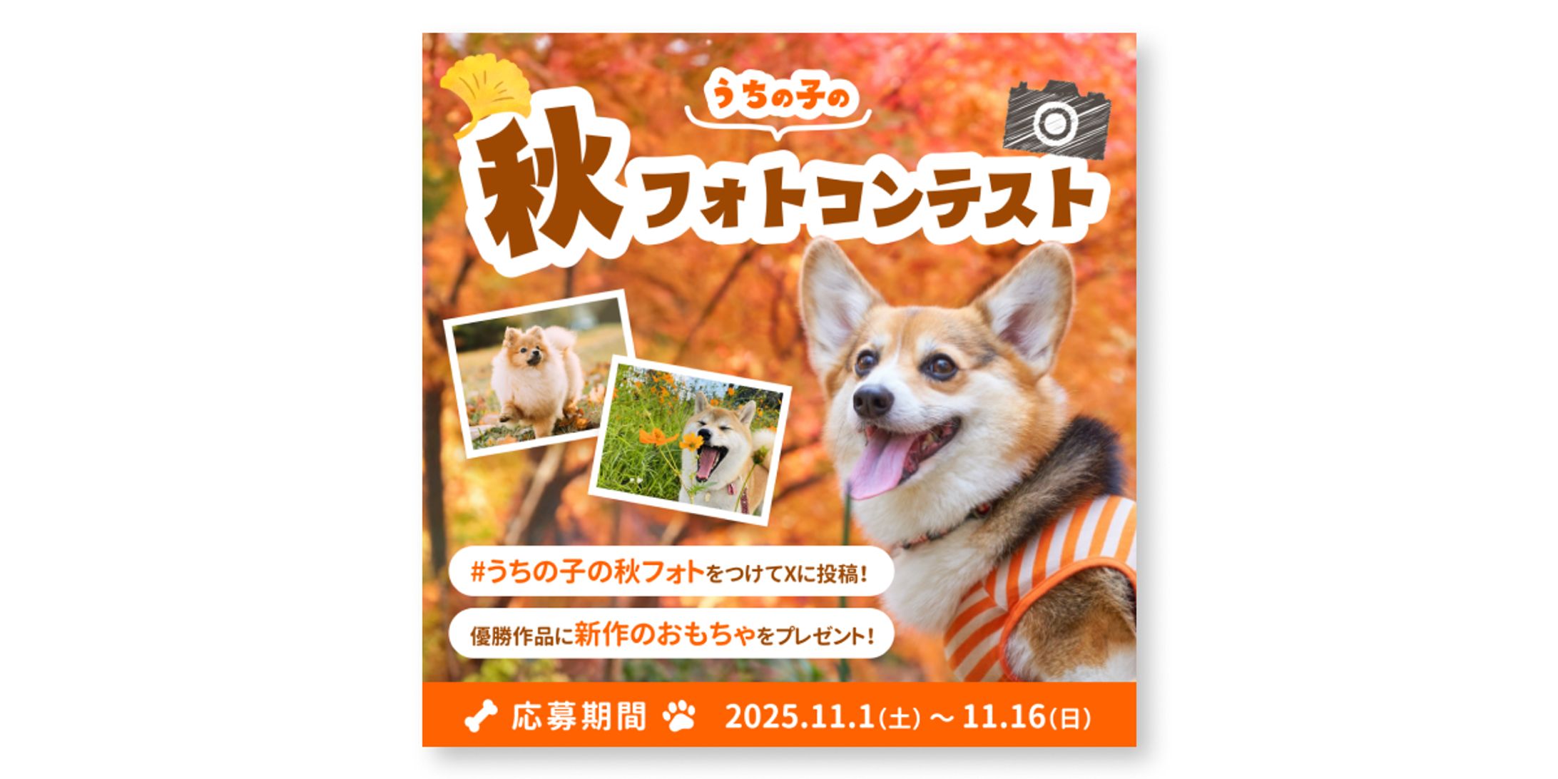ペットの犬の秋フォトコンテストバナー-1