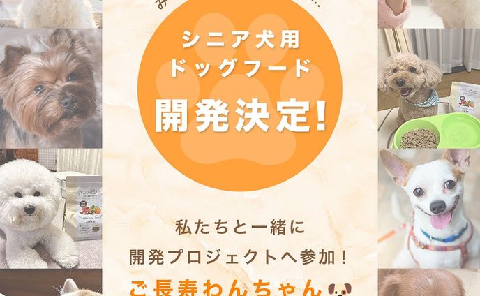 シニア犬用ドッグフード開発　キャンペーンバナー