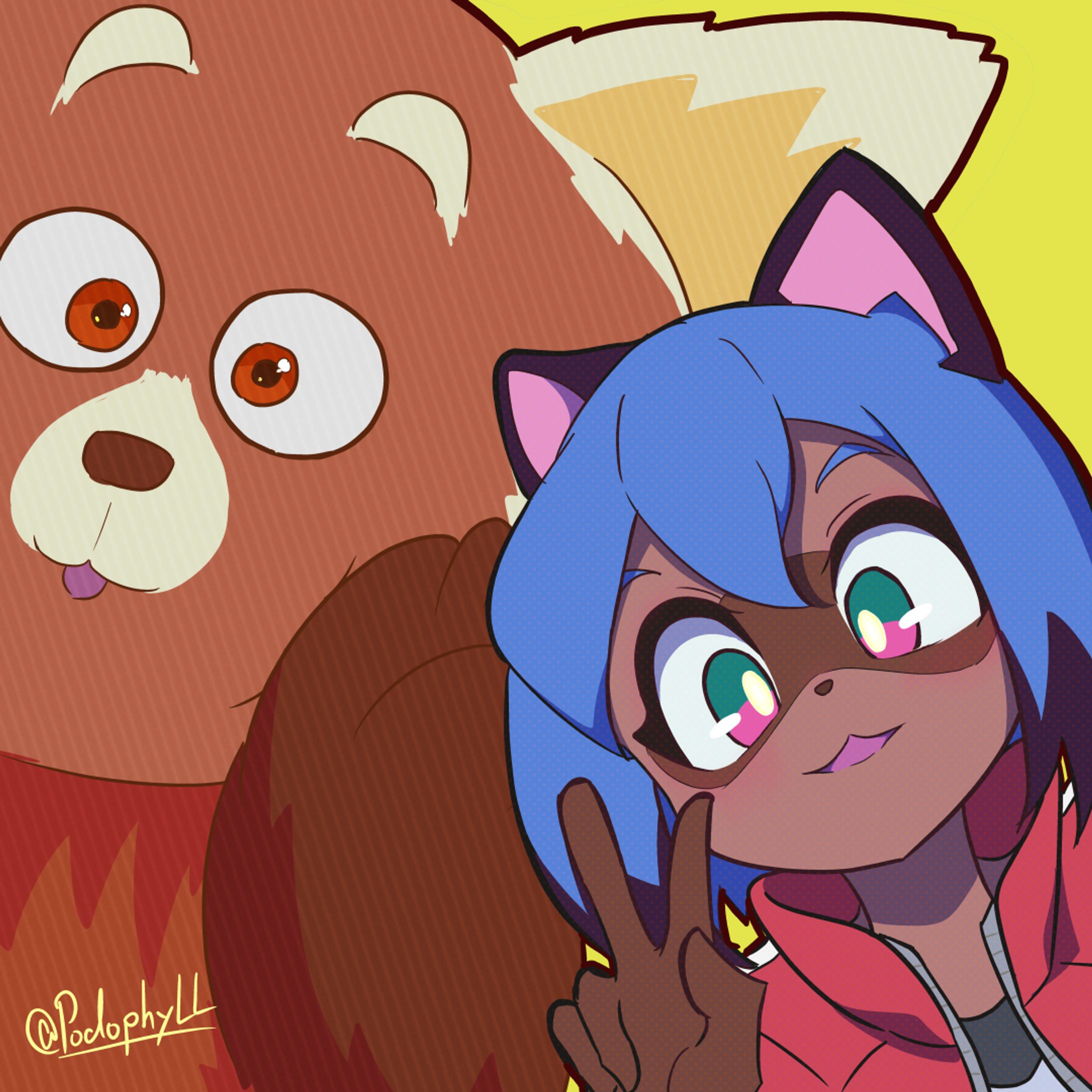 タヌキ&レッサーパンダ-1