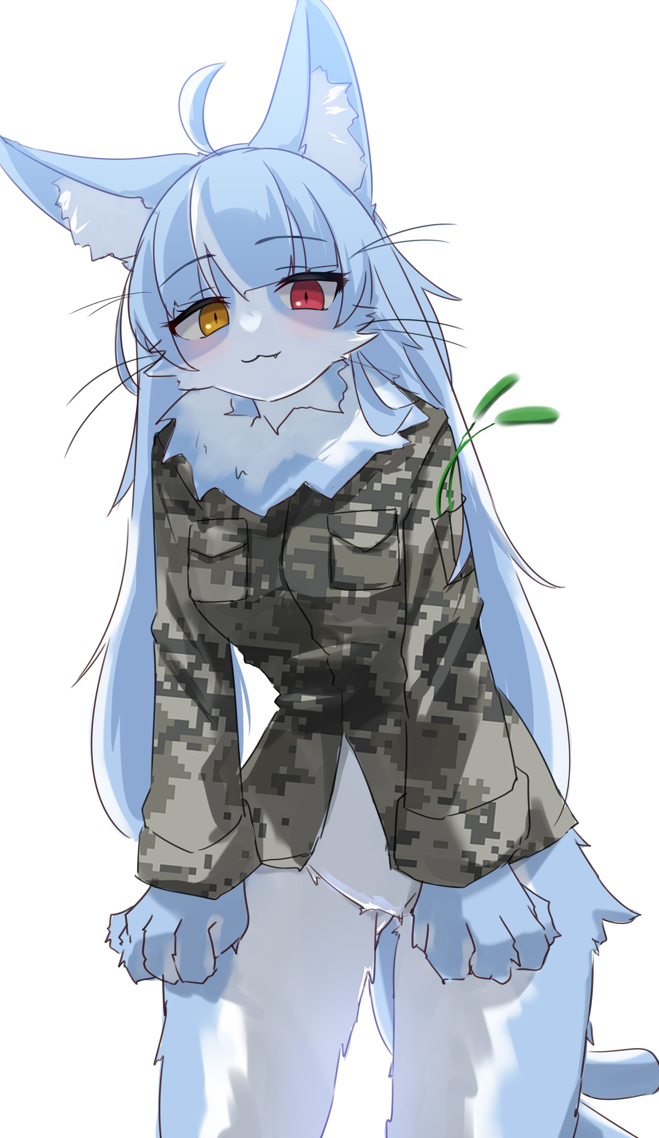 おまねこ-1