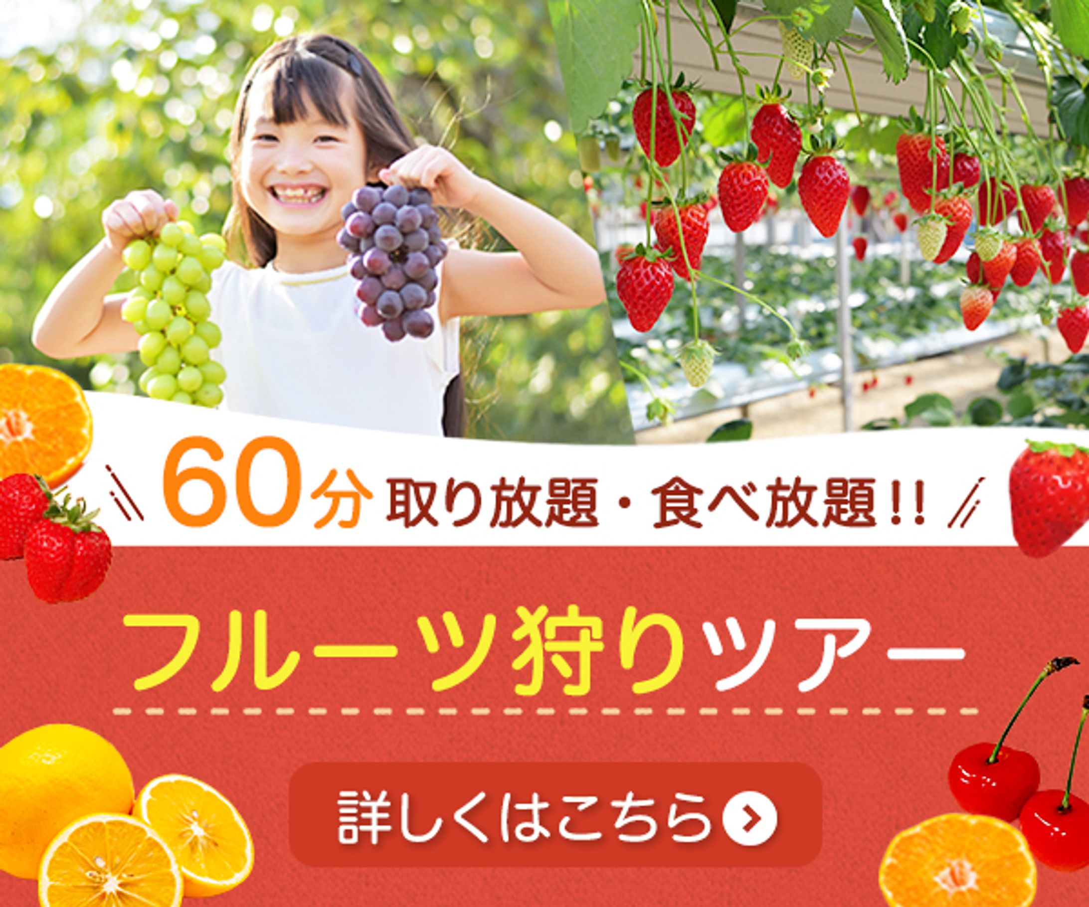 バナー：フルーツ狩り-1