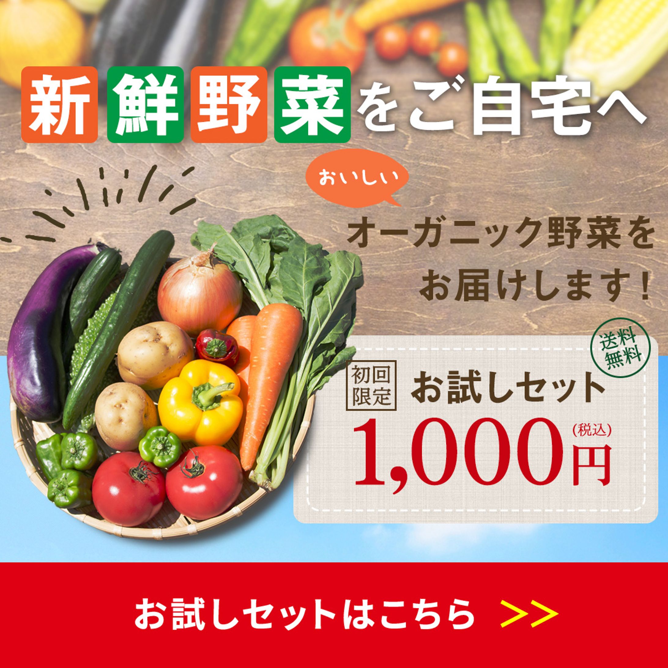 F様バナー-1