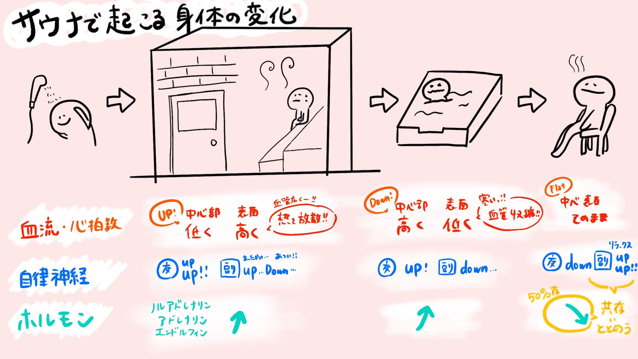 書評『医者が教えるサウナの教科書』よりサウナで起こる身体の変化-1