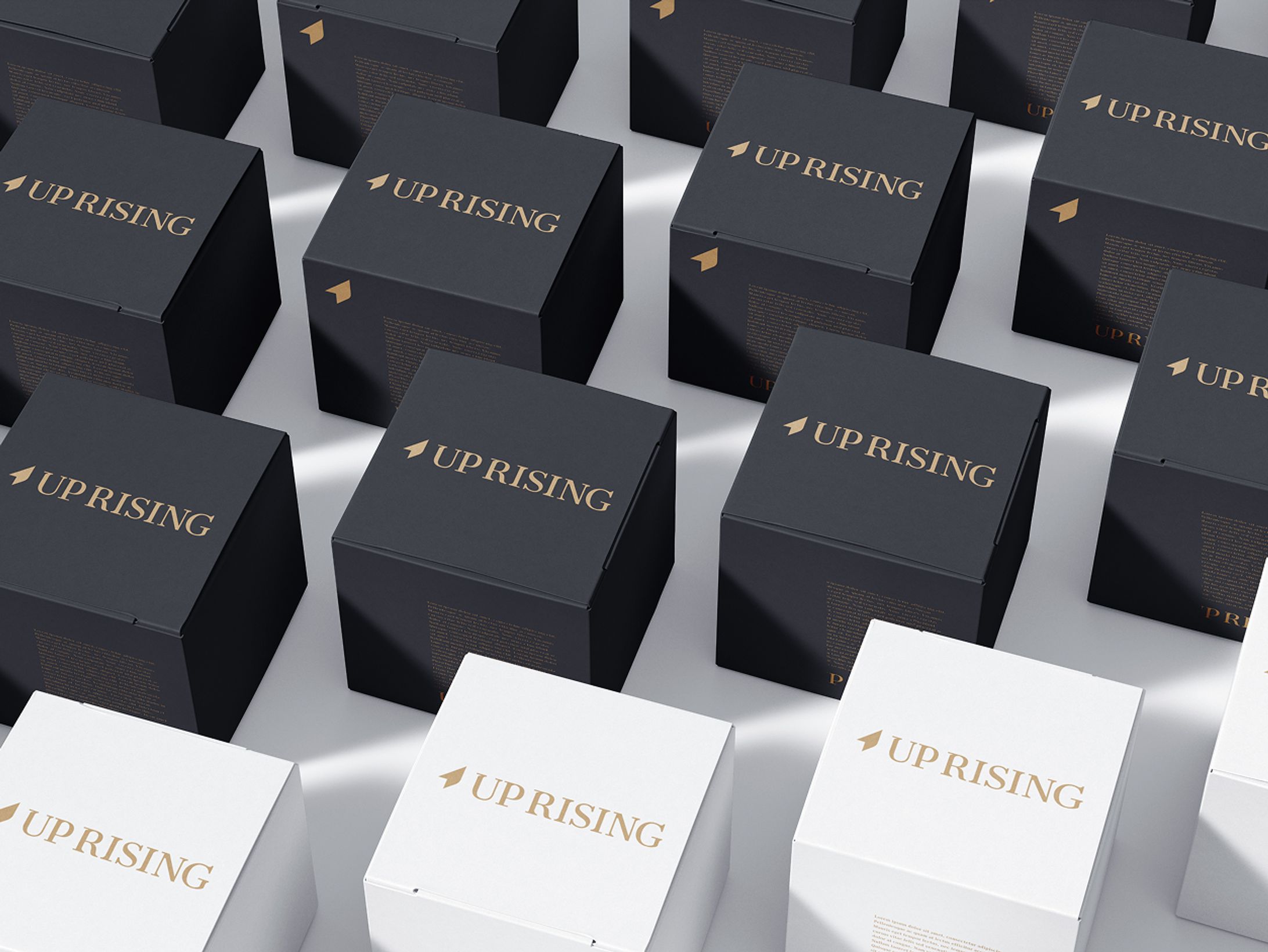 Rebrand Work - Up Rising-1