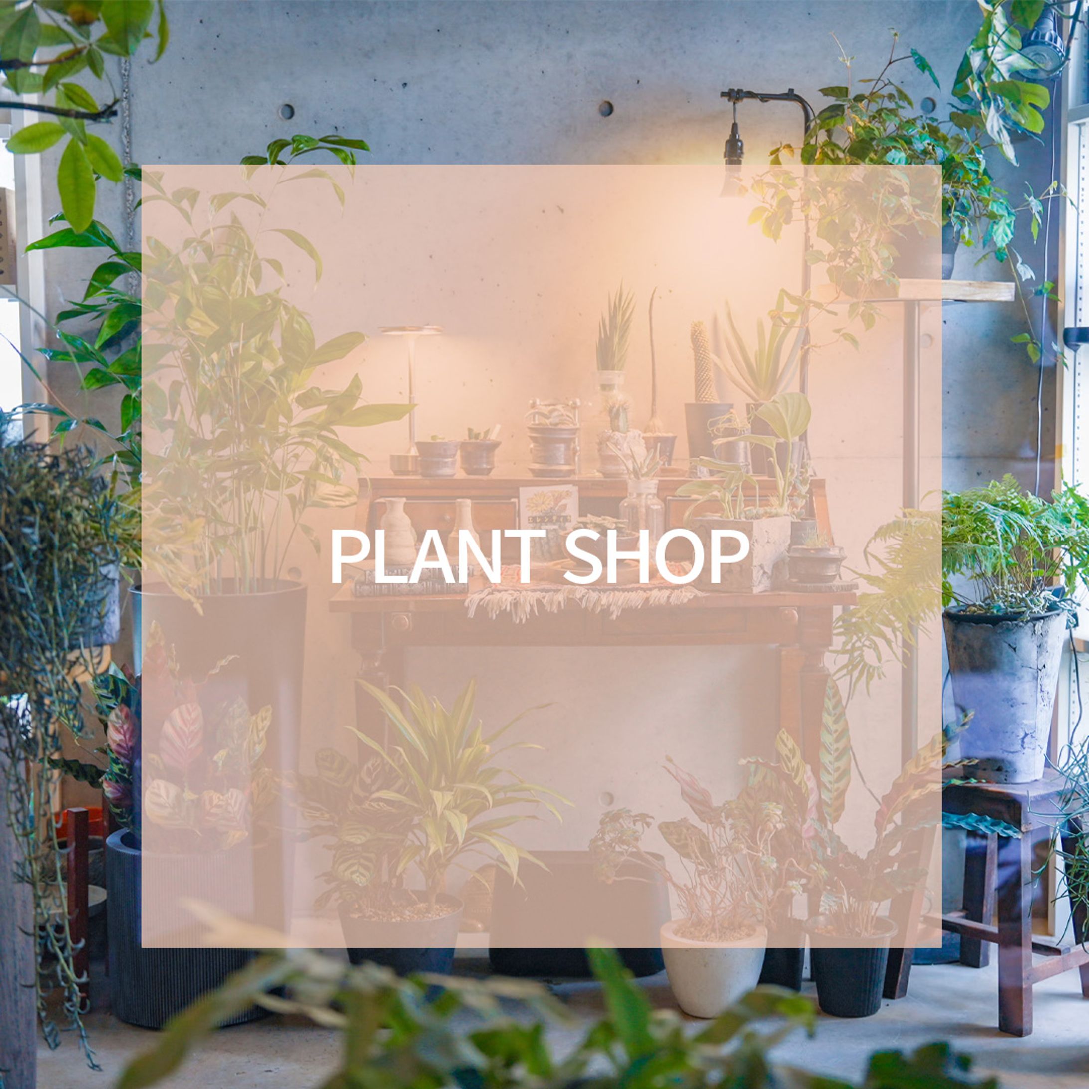 【Photoshop】ショップのイメージ画像制作-1