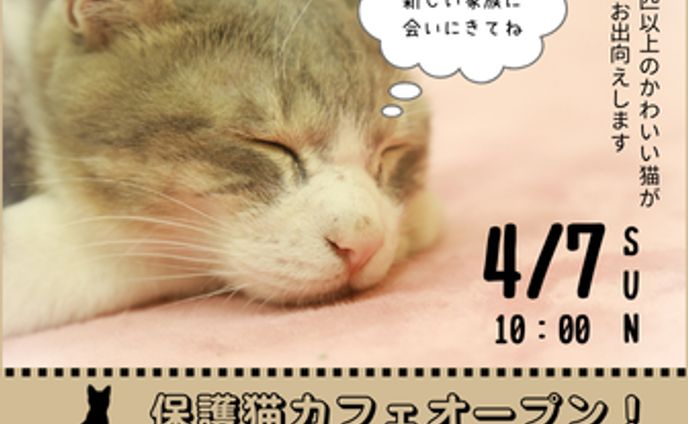 写真、バナー制作