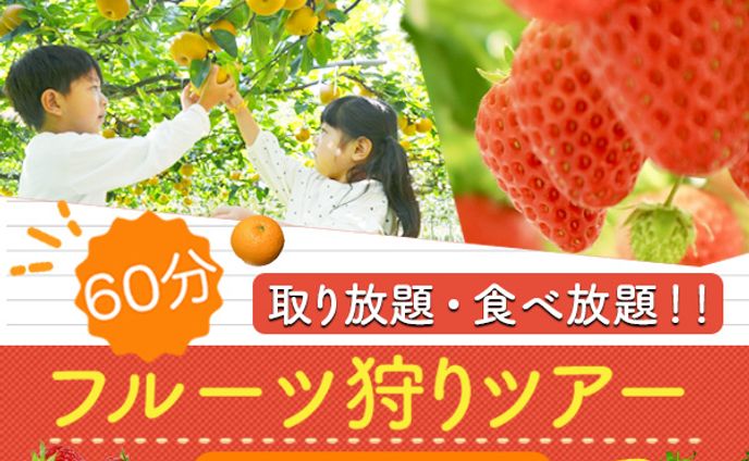 フルーツ狩りツアー