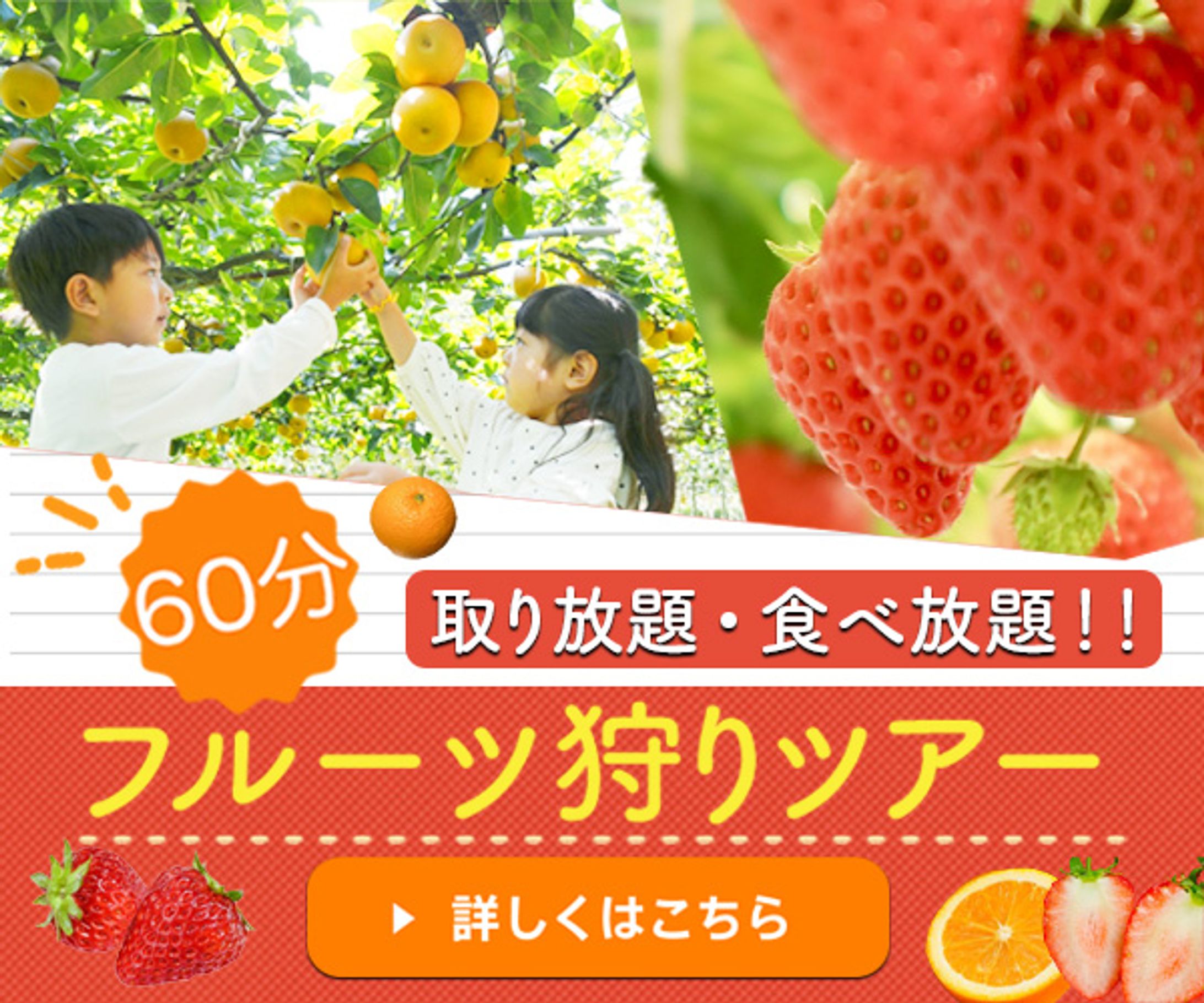 フルーツ狩りツアー-1