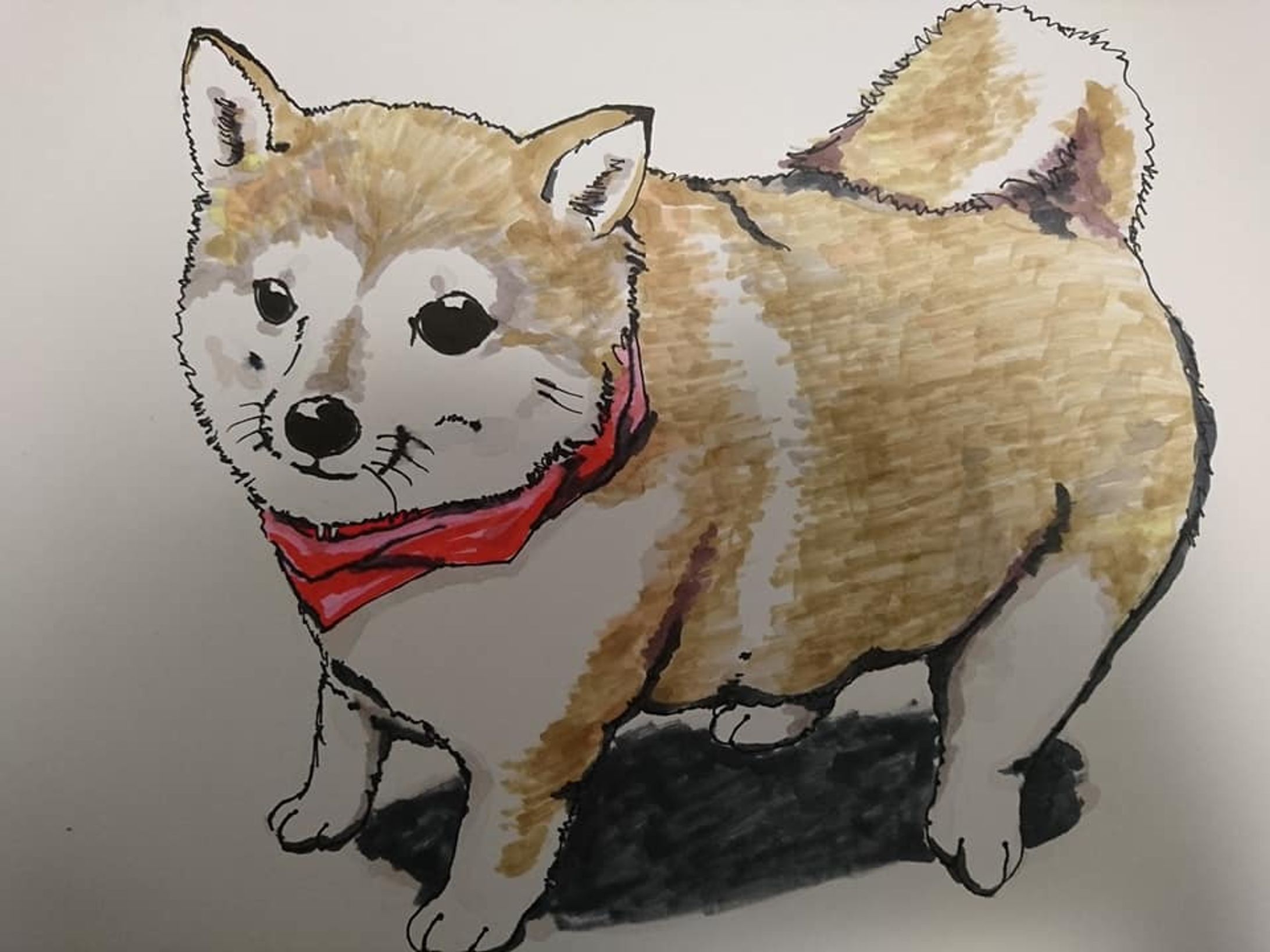ペットイラスト-1