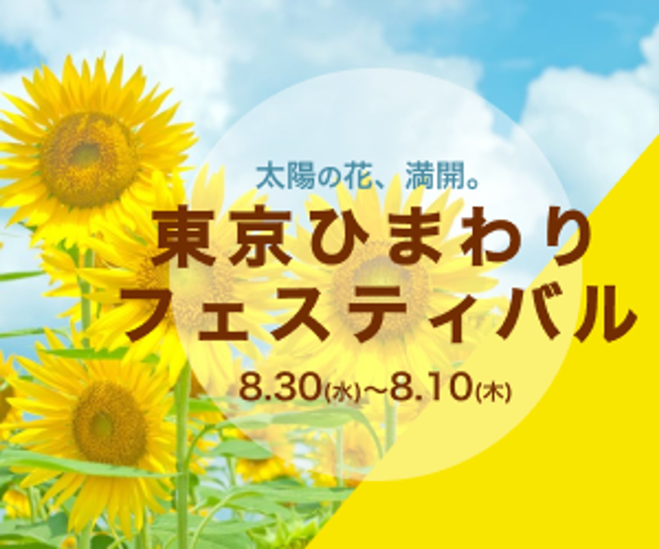 バナーデザイン①-1
