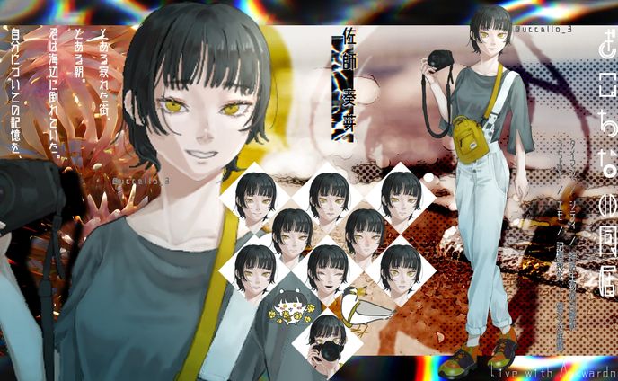 趣味、ディスプレイ