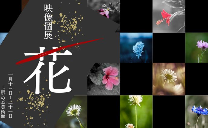 Photo Exhibition