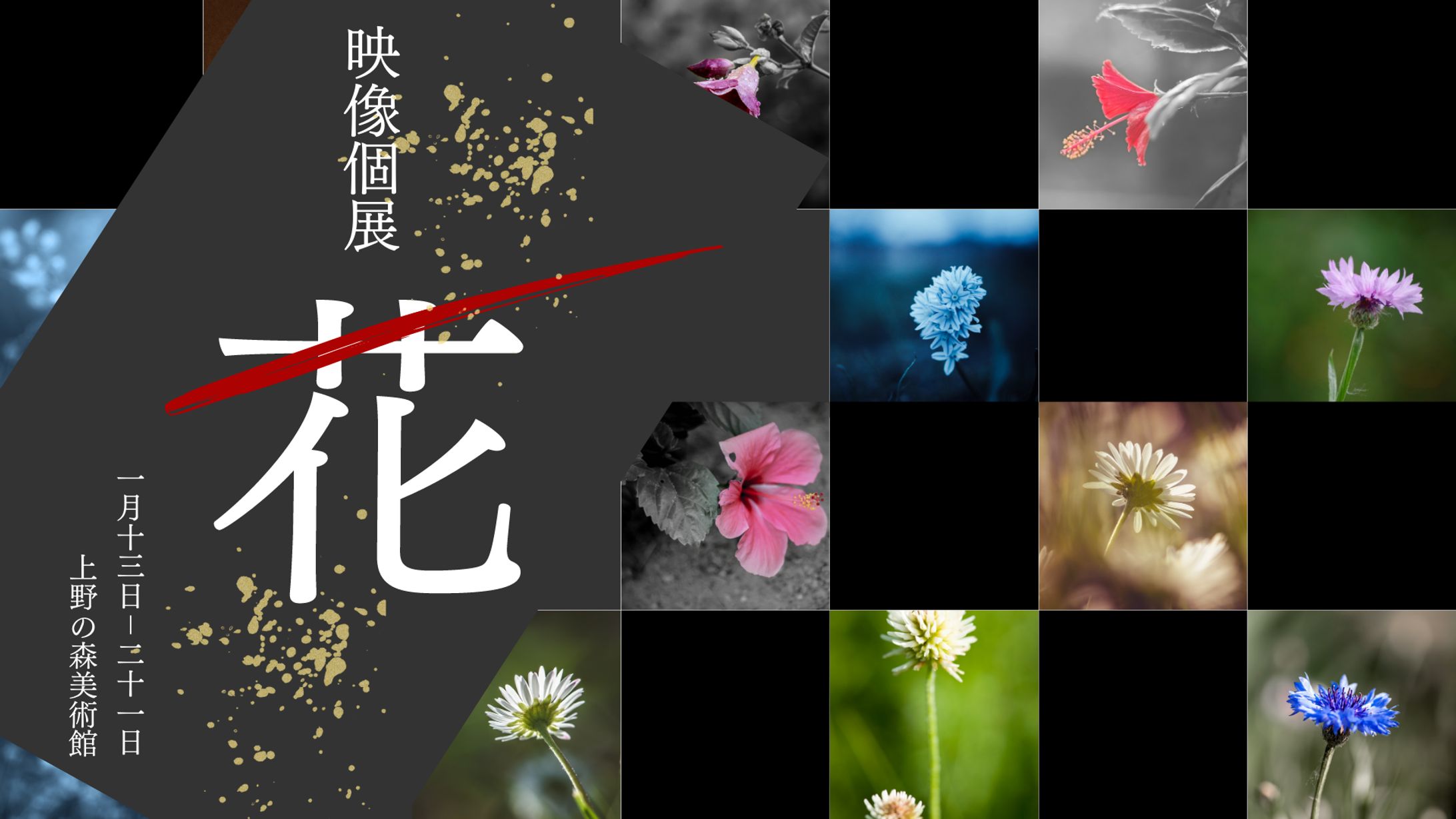 Photo Exhibition-1