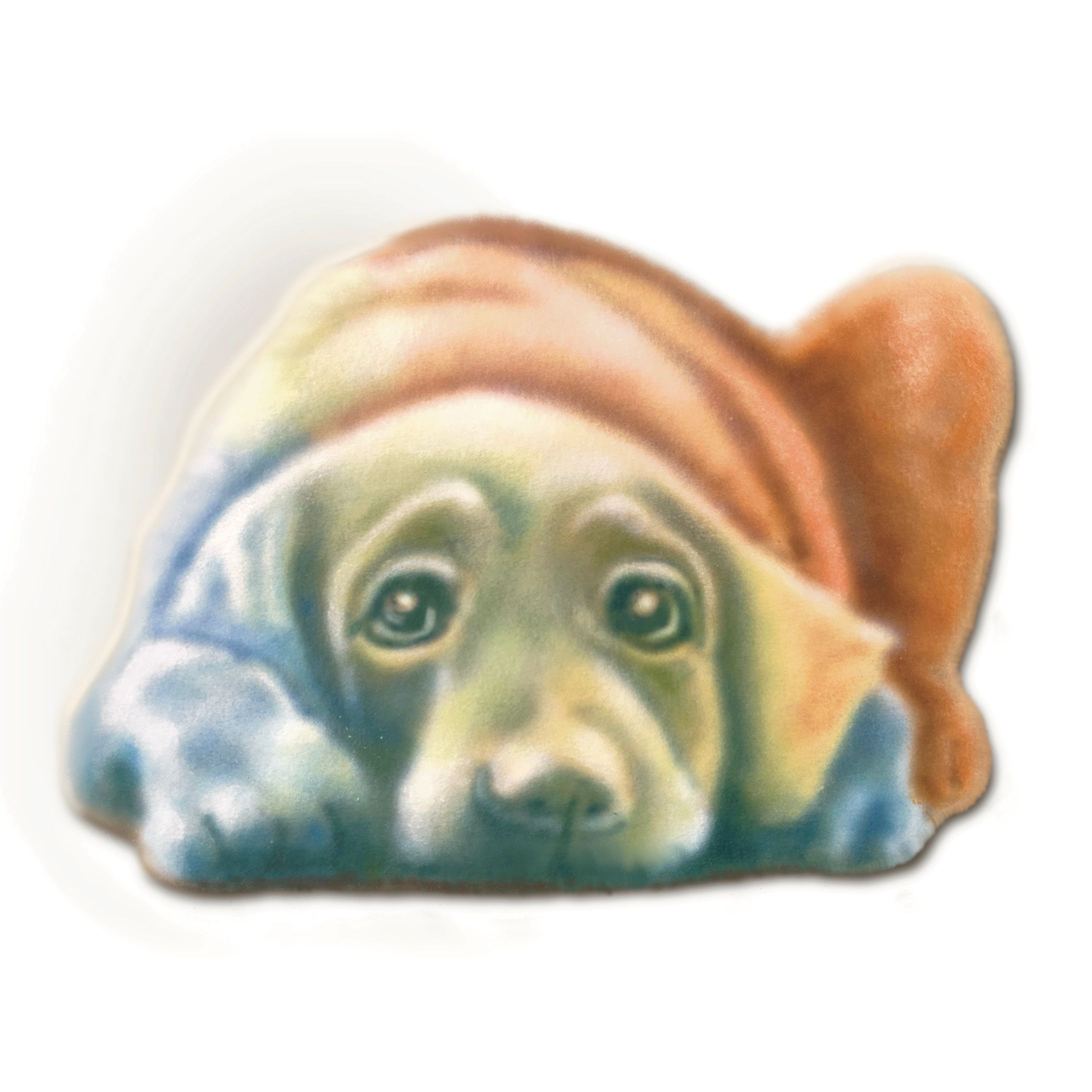 子犬−カラフル-1