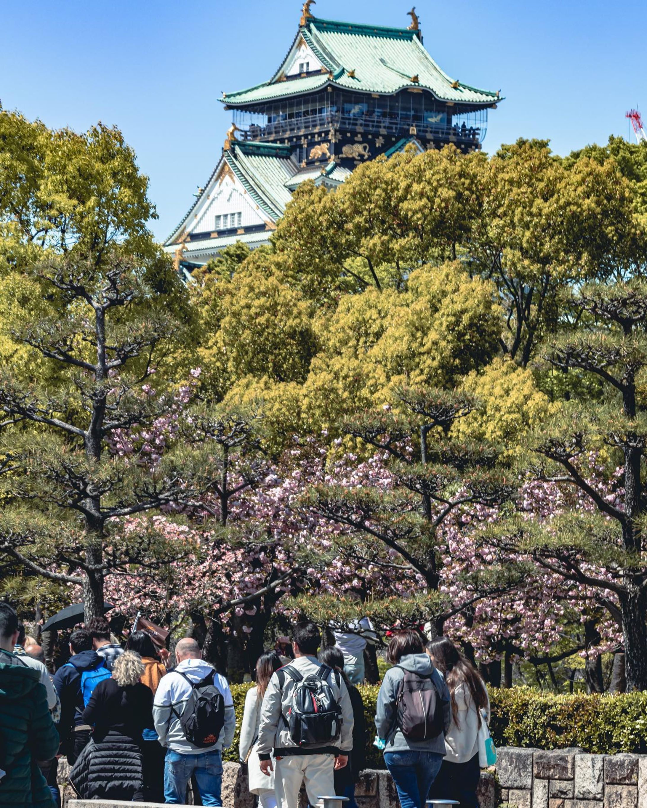 .
今日も一日お疲れ様でした🥕
お仕事中の方、これからお仕事の方はほどほどに🔥
.
.
(at. #大阪城公園 )
.
 #osakacastle  #大阪城
#streetsnap #japan_daytime_view
#streetphotography #streetshootjapan #urbanandstreet #streetclassics #streetactivity #street_photo_daily
#street_incity #streetview #streetleaks #streetlife #streetartjaponism #best_moments_street #japancityblues 
#路地裏 #スナップ写真
#ファインダー越しの私の世界 #写真好きな人と繋がりたい
#大阪 #大阪観光 #osakajapan  #osakatrip-1
