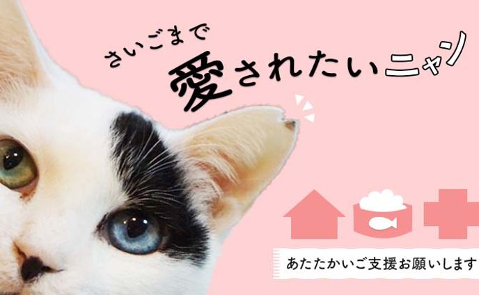 クラウドファンディングPROJECTサムネイル/資料画像