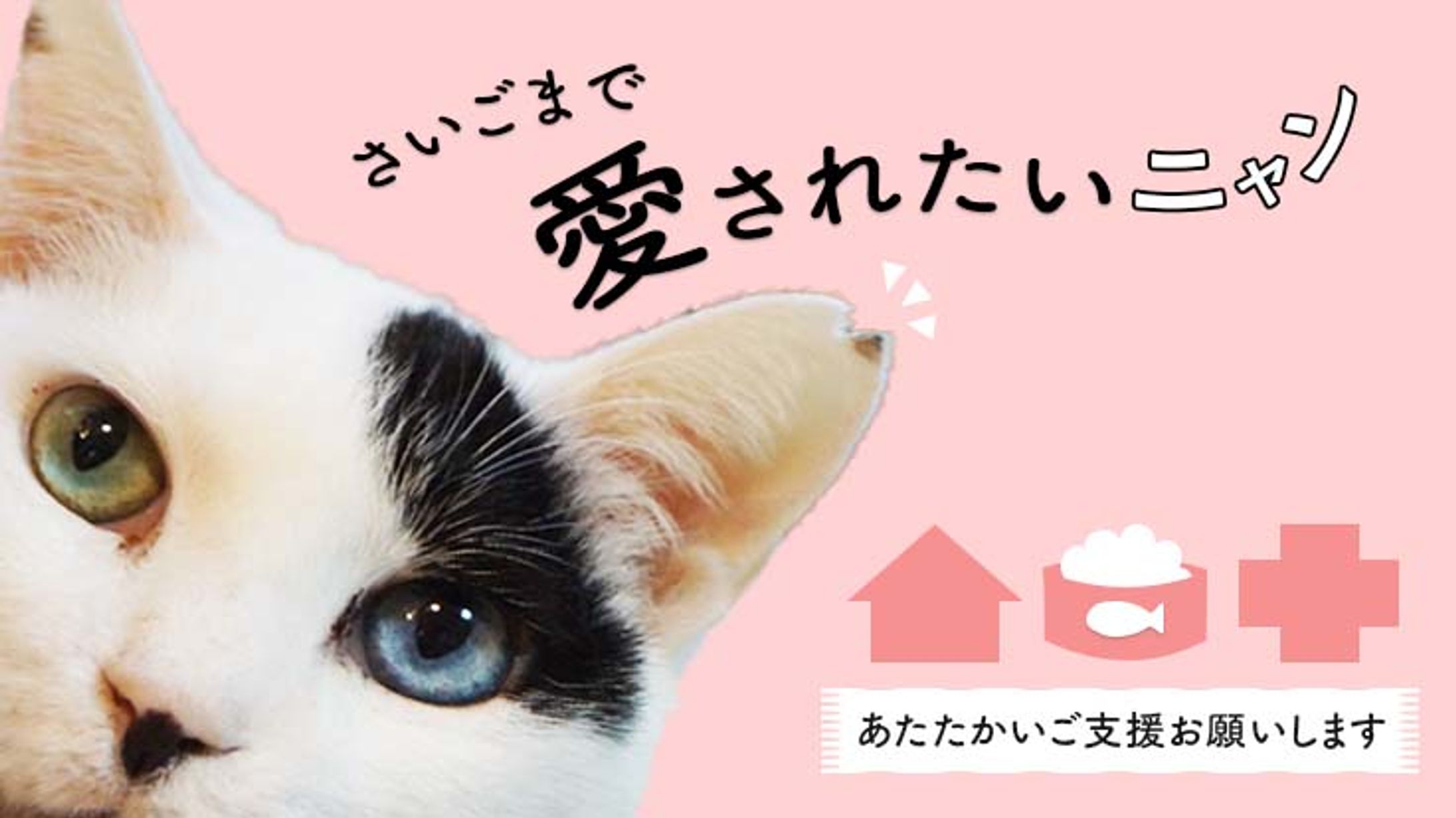 クラウドファンディングPROJECTサムネイル/資料画像-1