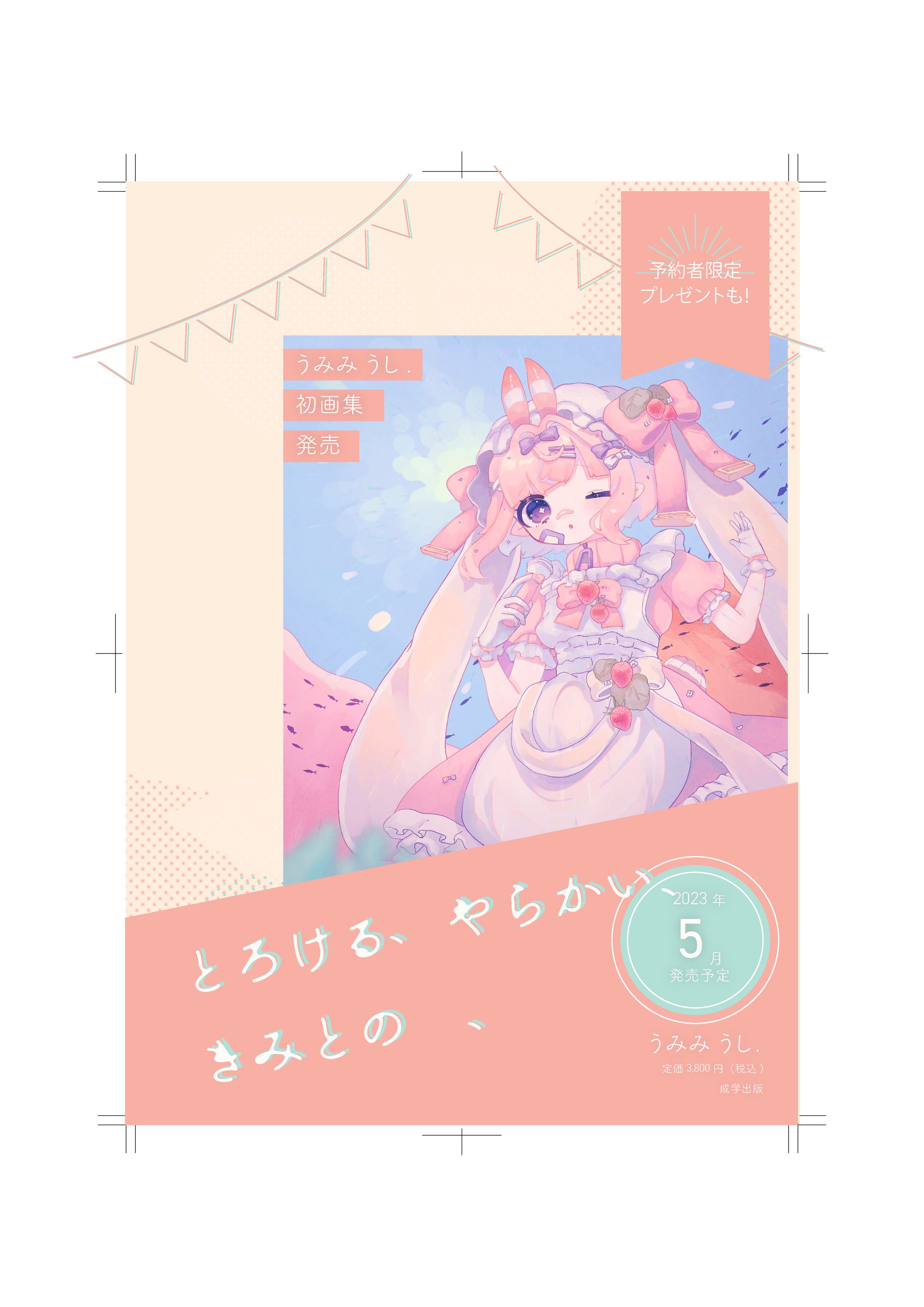 チラシデザイン（作品集発売想定）-1