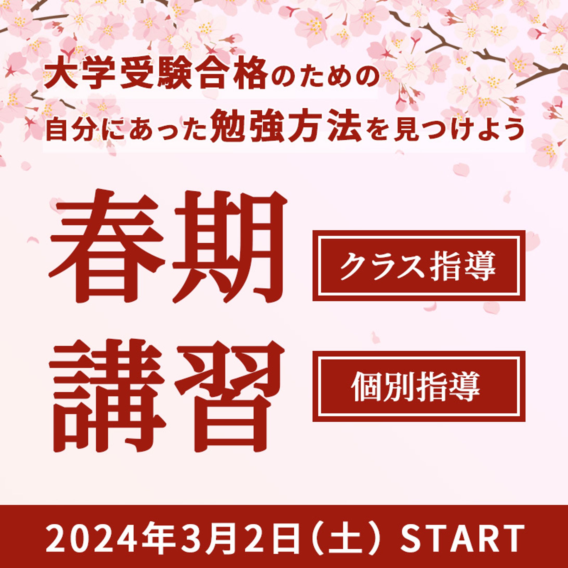 大学受験対応の春期講習【Instagram 広告用バナー】-1