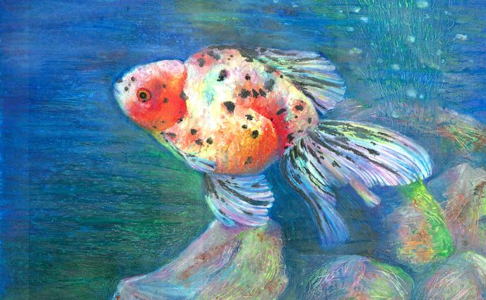 金魚