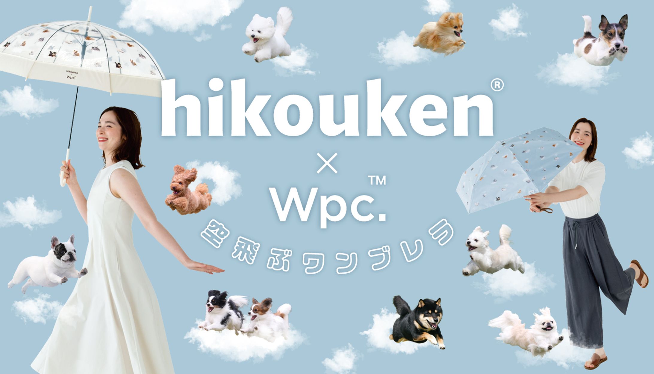 飛行犬メインビジュアル-1