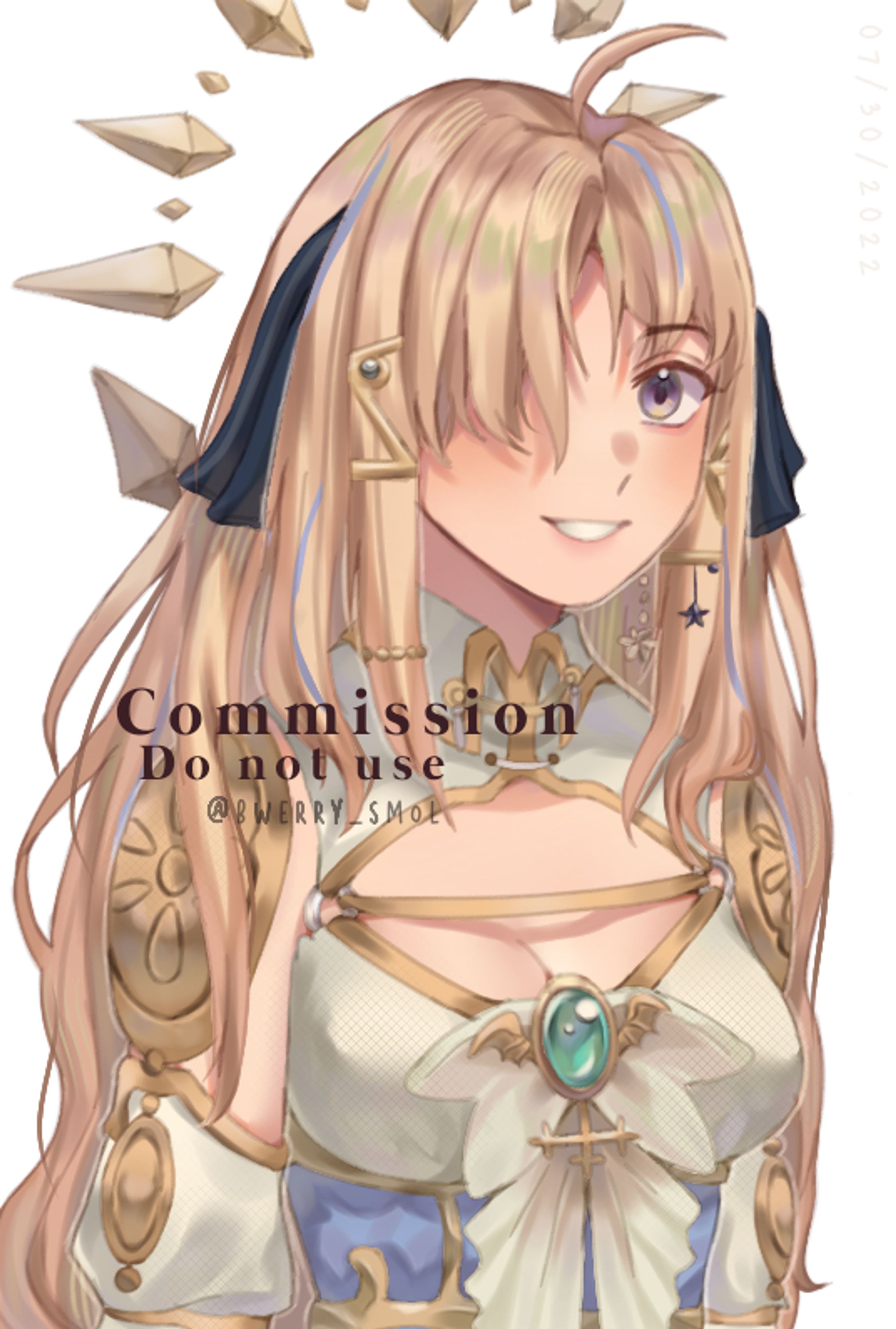 Luc commission -1