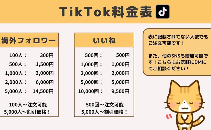 TikTok料金表