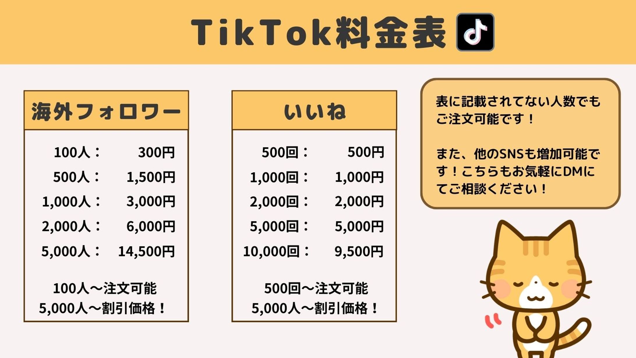 TikTok料金表-1