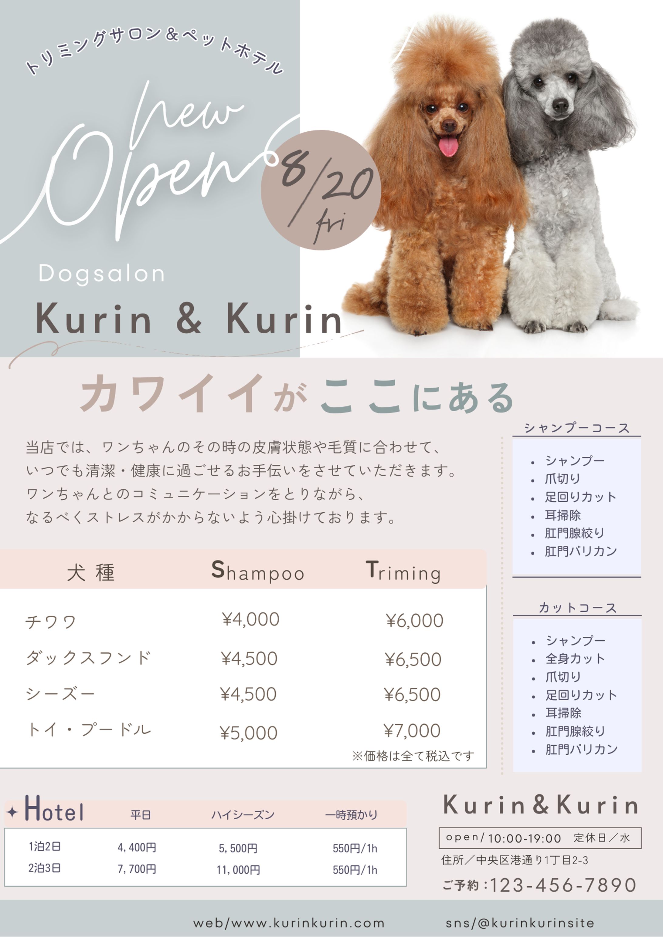 店舗広告デザイン　チラシ　POP-1