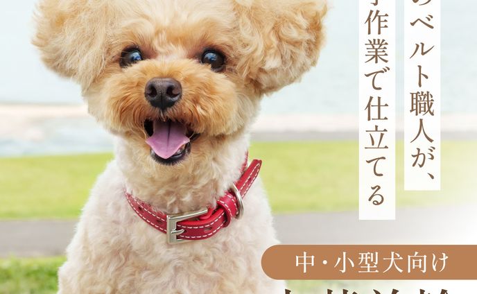 【楽天LP】犬用の首輪