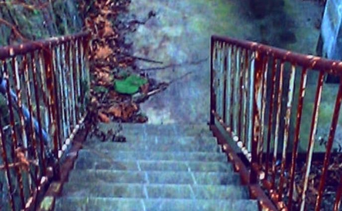 階段ポートレート