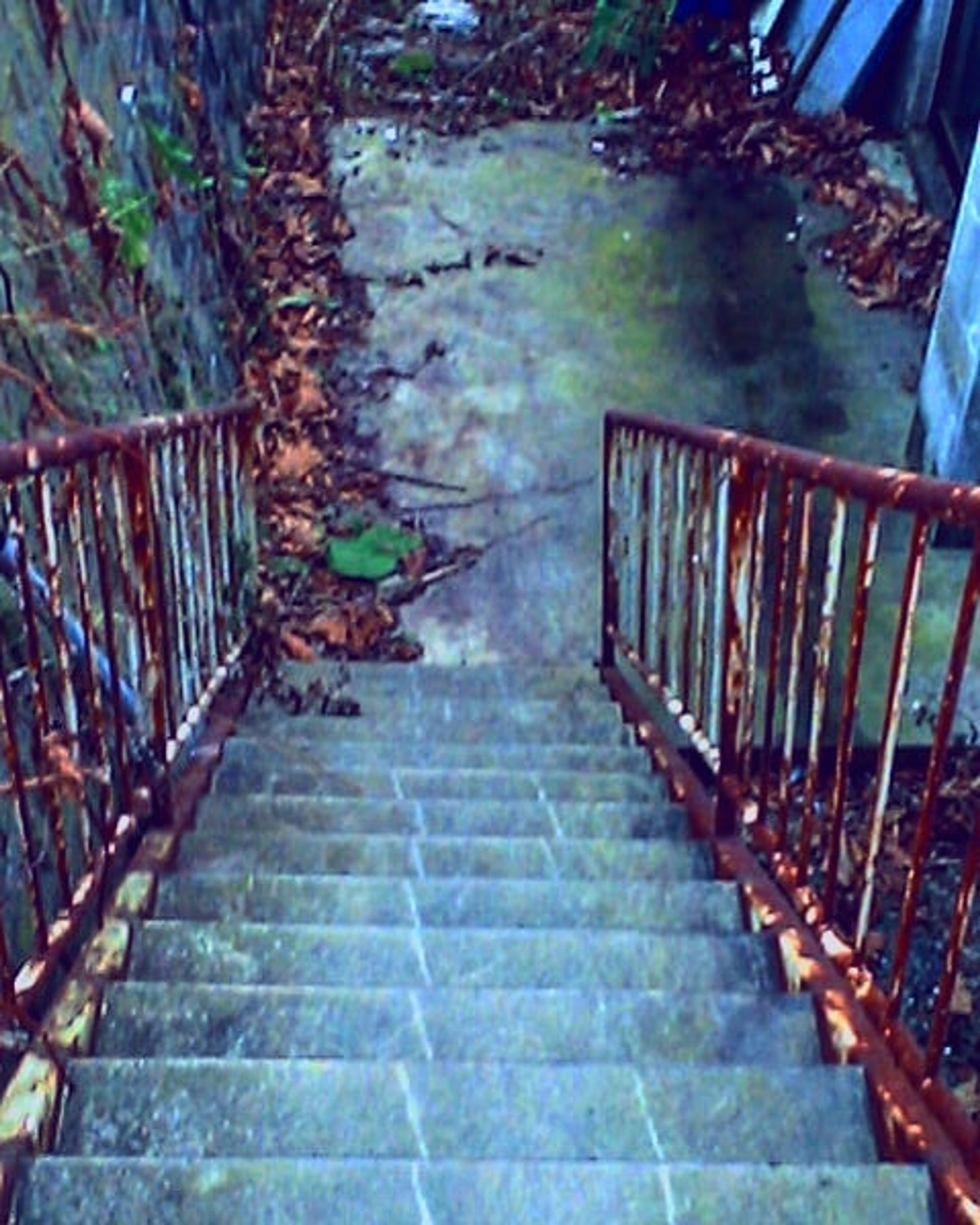 階段ポートレート-1