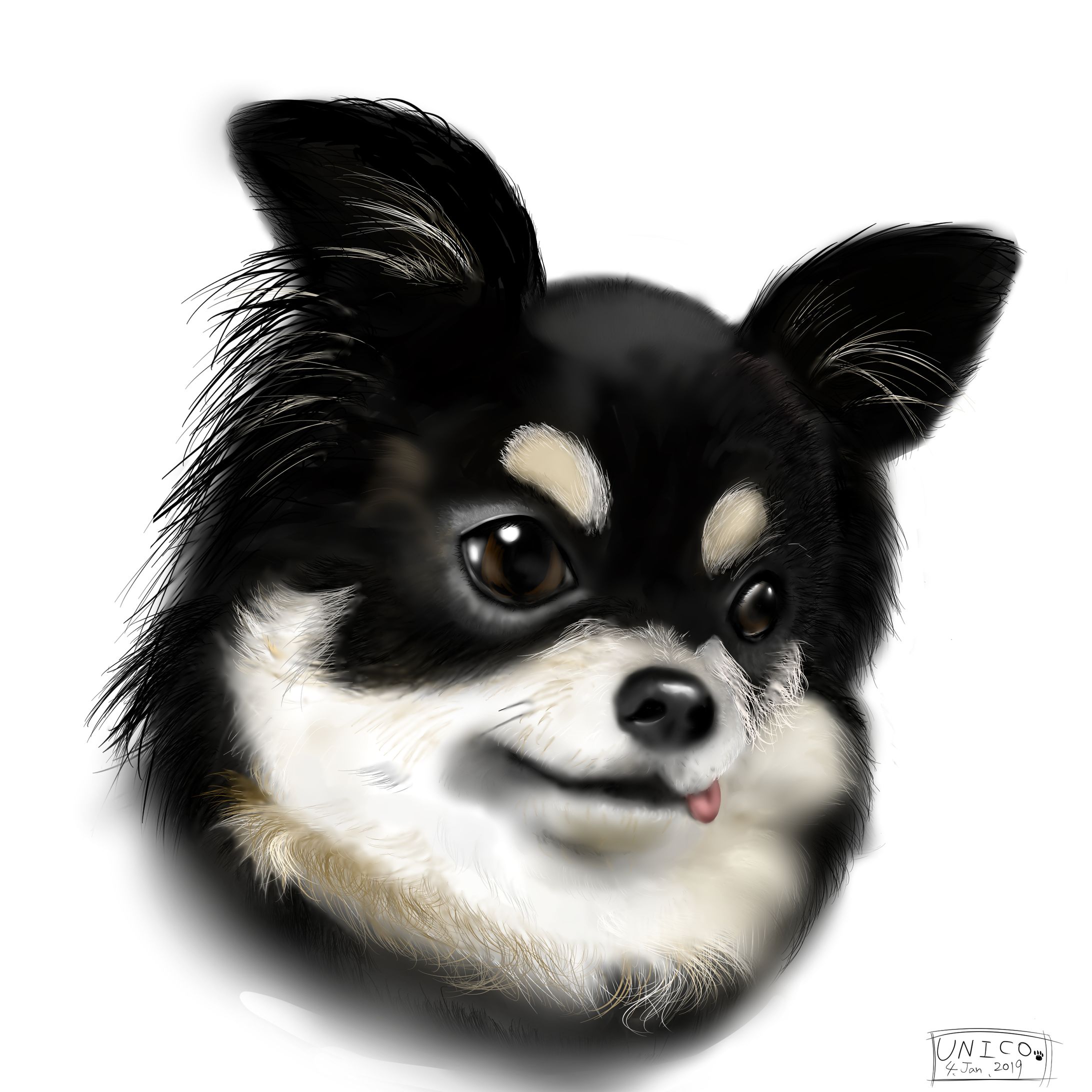 動物イラスト-1