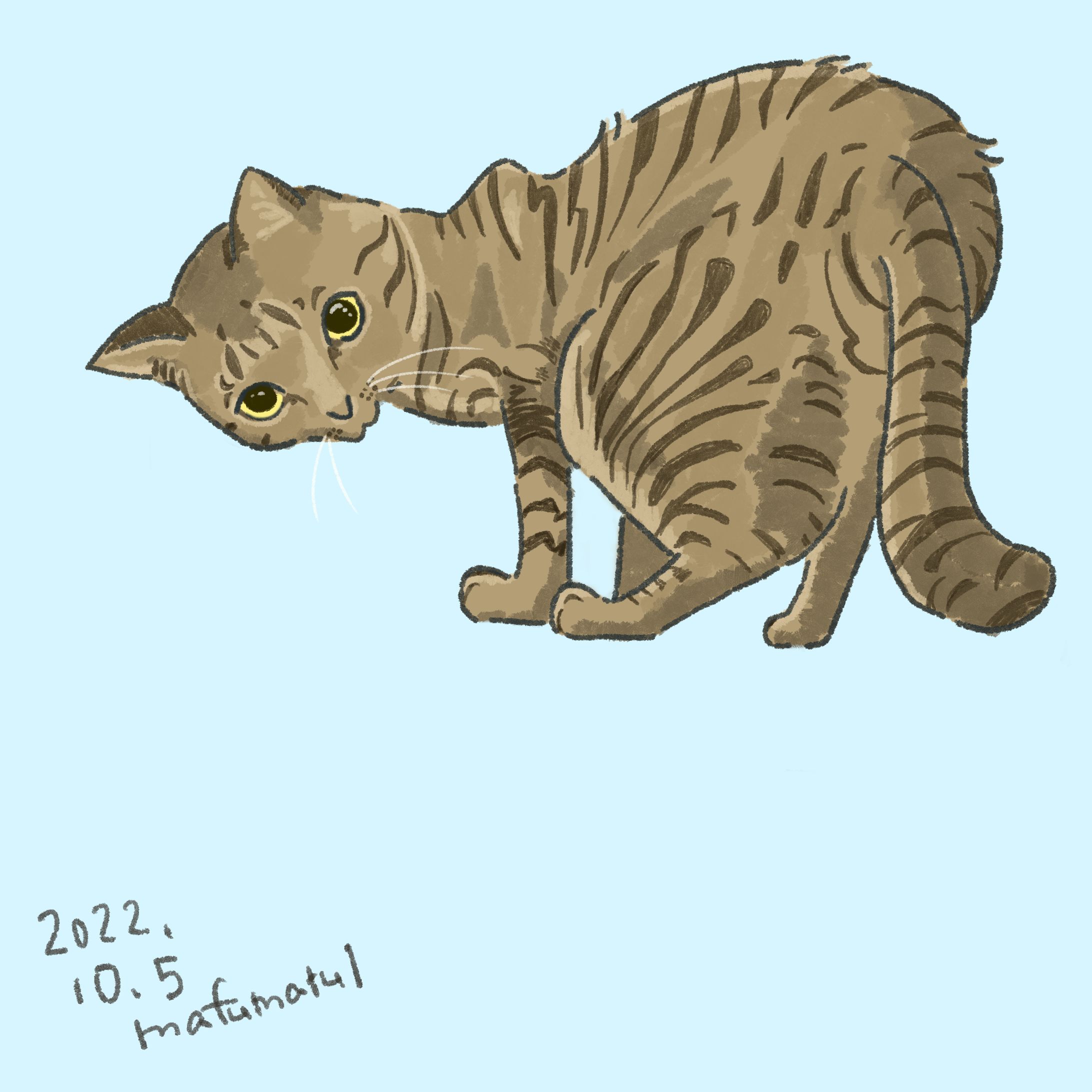 ねこちゃん-1