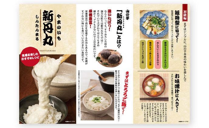 新丹丸（やまのいも）リーフレット