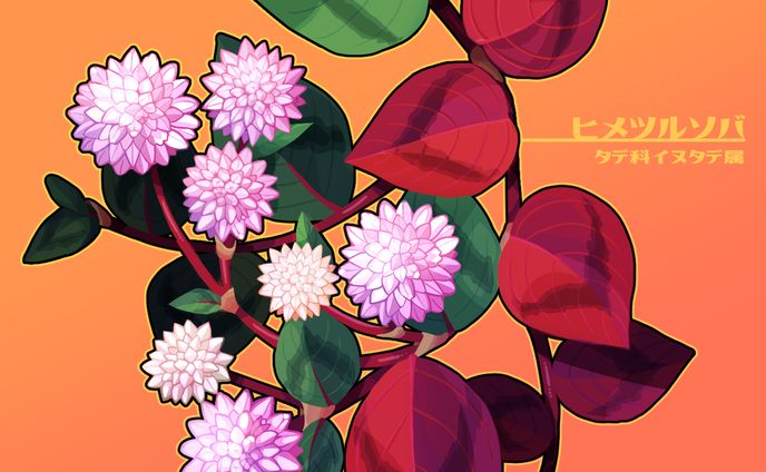 植物イラスト3