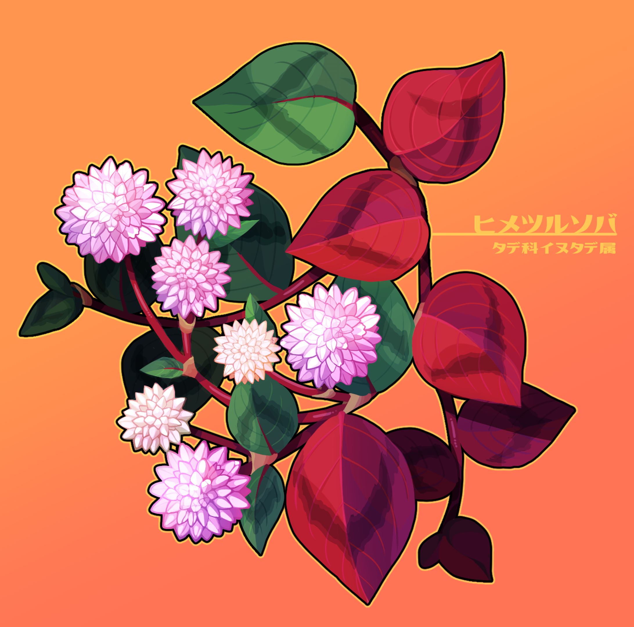 植物イラスト3-1