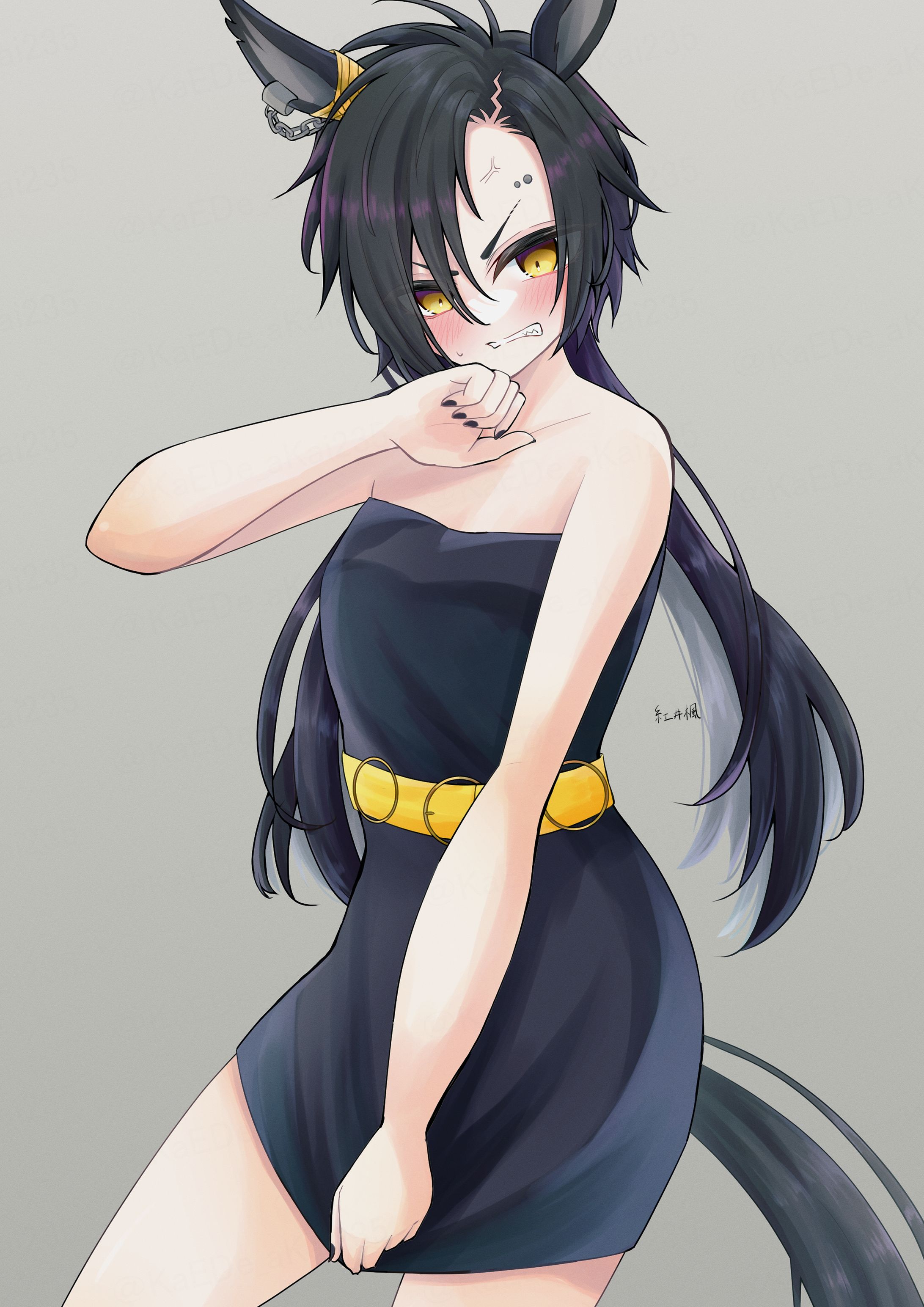 エアシャカール-1