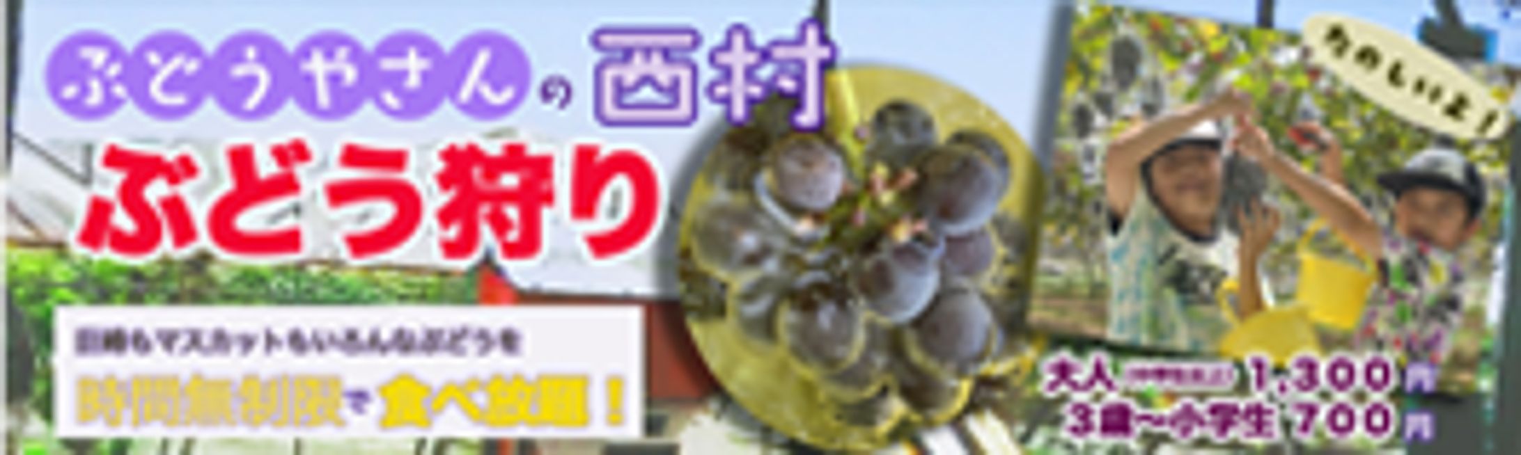 ぶどう狩りバナー-1